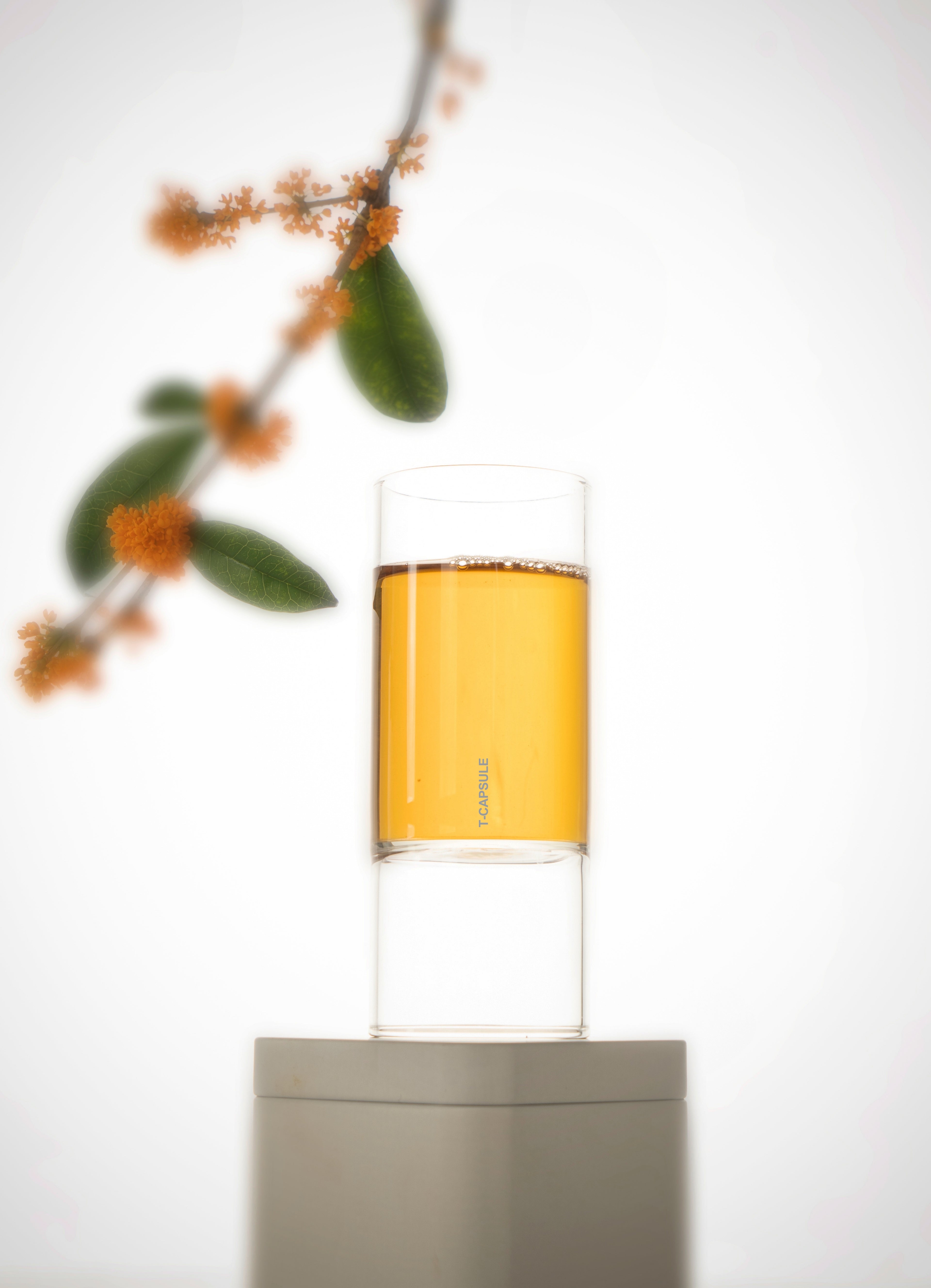 BAMBOO GLASS